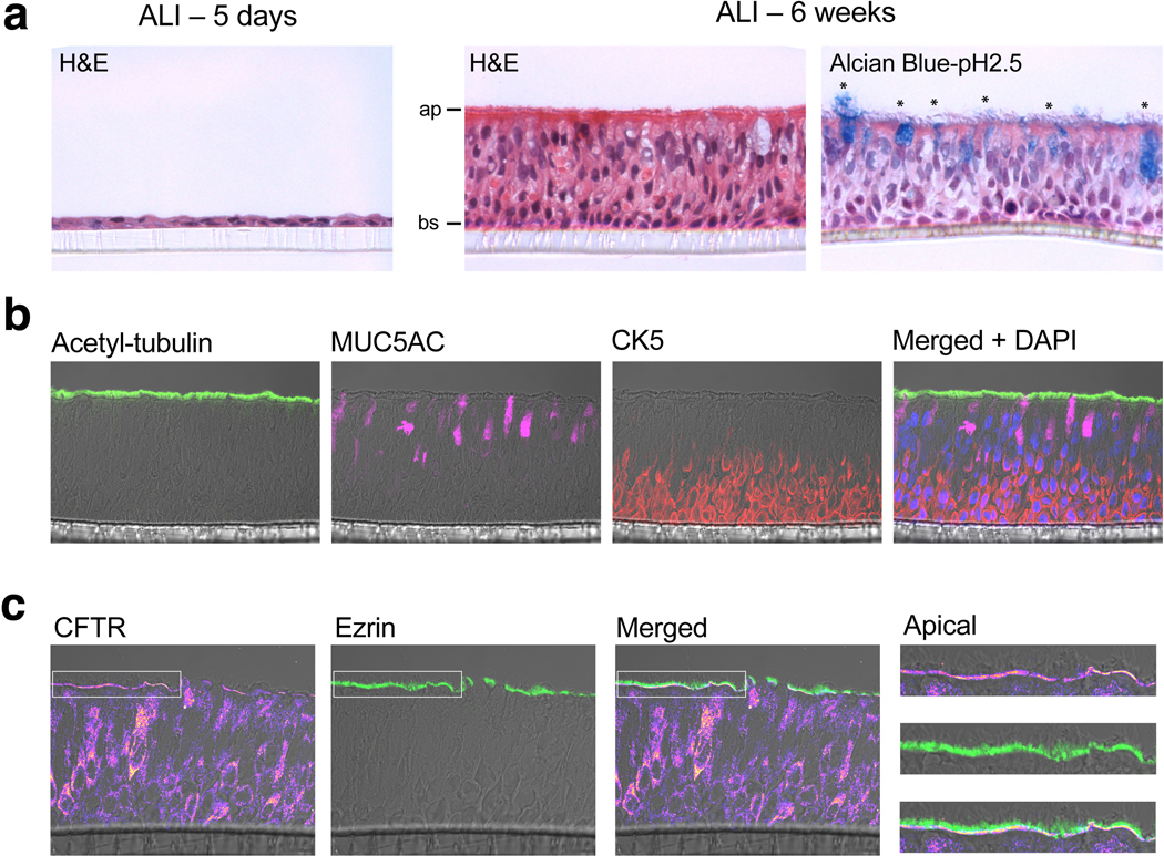 Extended Data Fig. 10