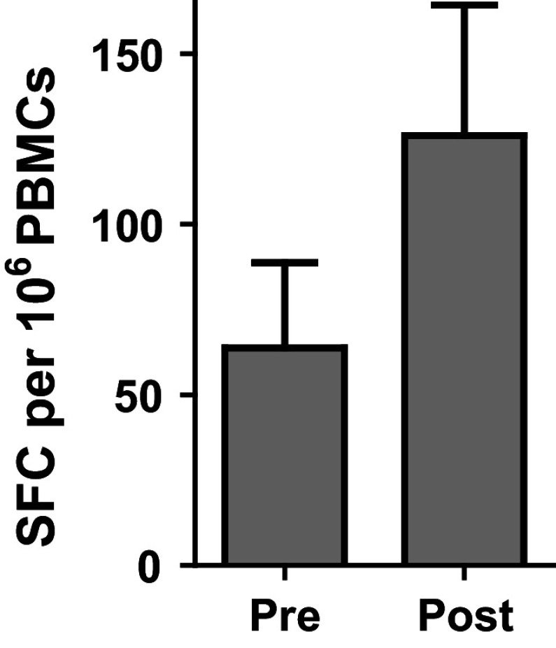 Fig. 3