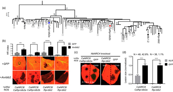 Figure 4