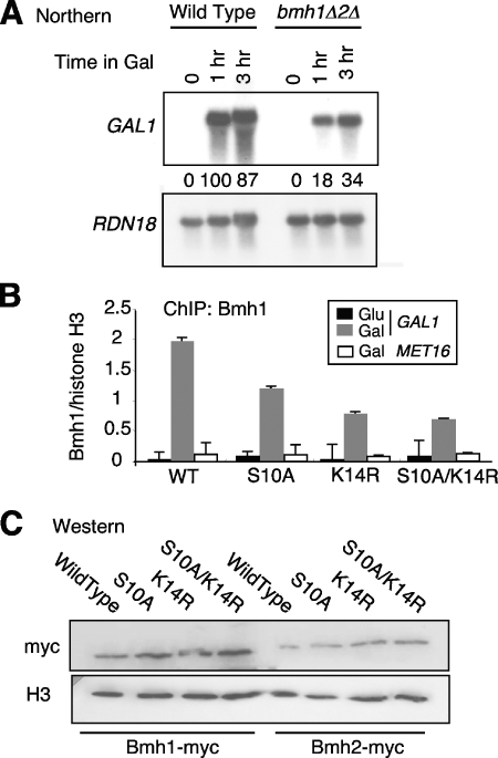 FIG. 6.