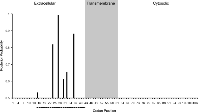 FIG. 3.—