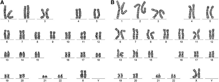 FIG. 9.