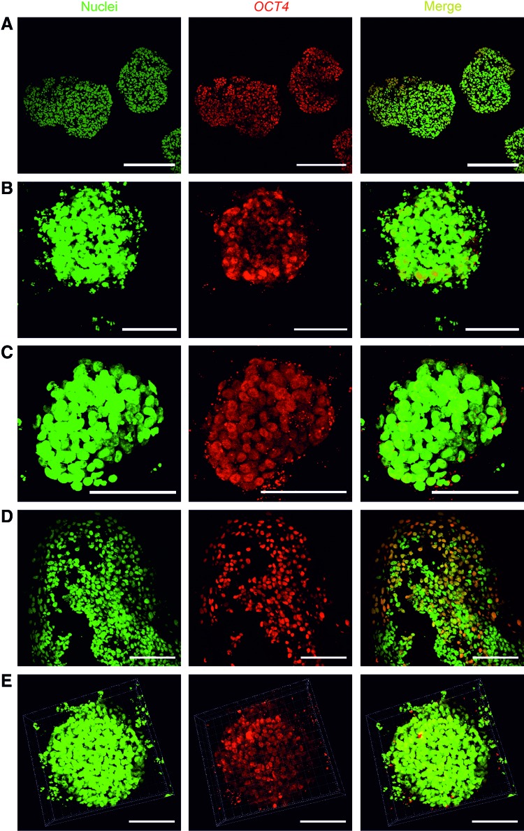 FIG. 3.