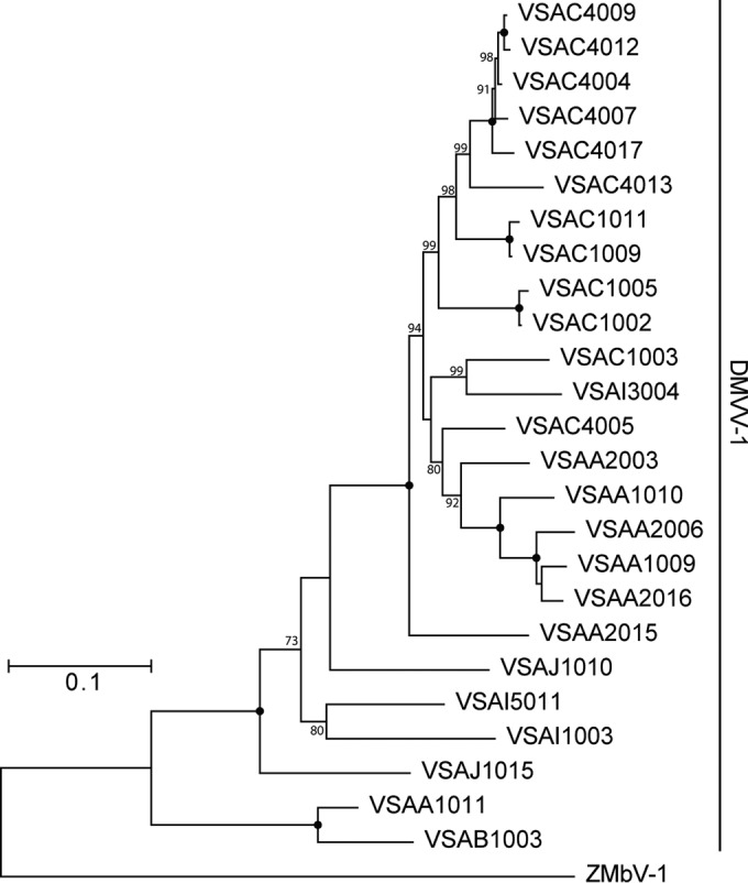 FIG 4