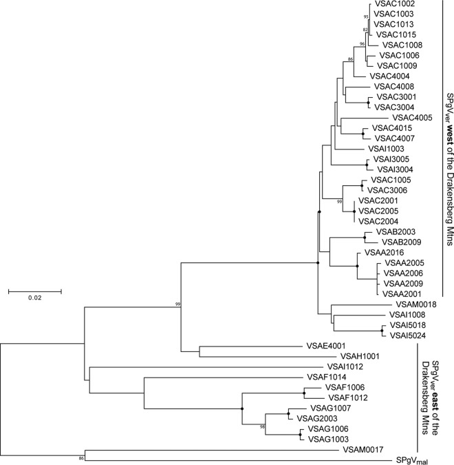 FIG 3