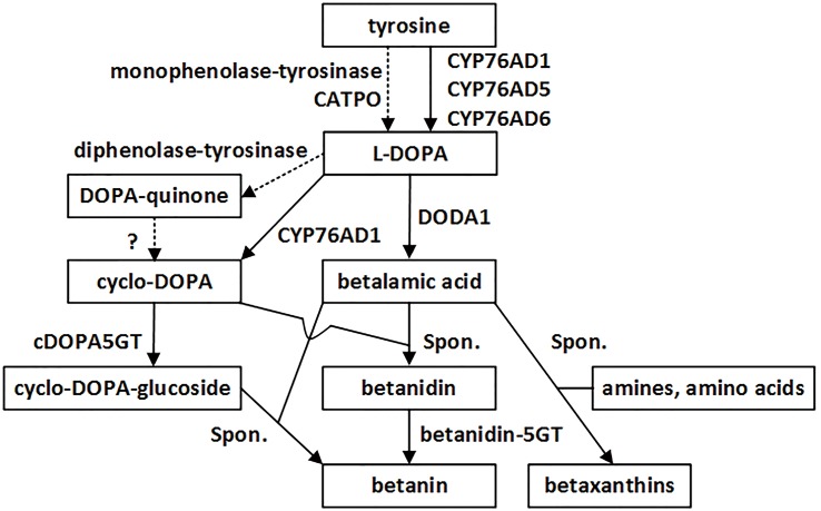 FIGURE 1