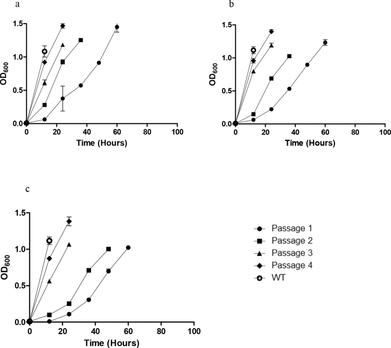 Fig. 2