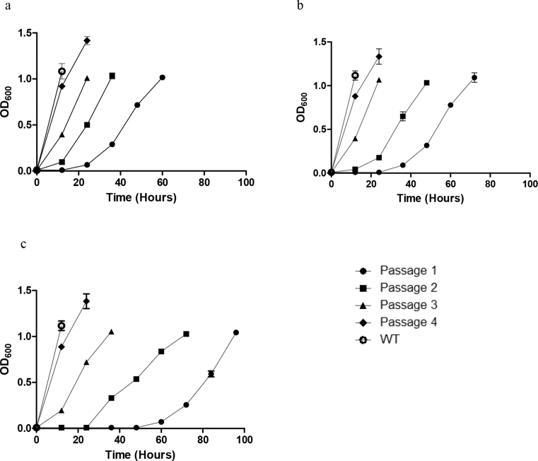 Fig. 1