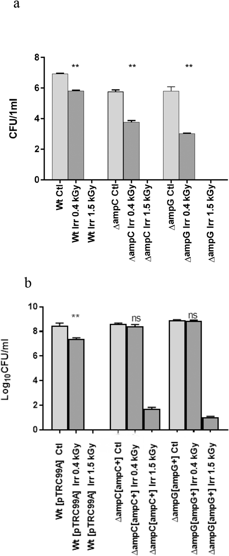 Fig. 9