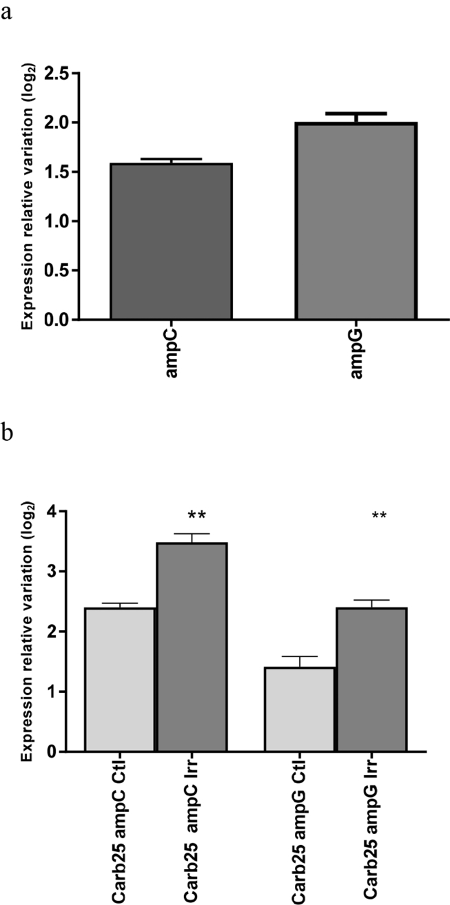 Fig. 7