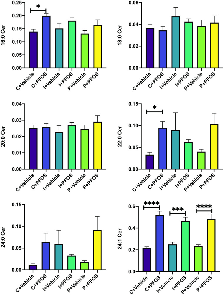 Figure 3 is a set a six bar graphs, plotting 16 to 0 Ceramides, ranging from 0.00 to 0.25 in increments of 0.05; 18 to 0 Ceramides, ranging from 0.00 to 0.06 in increments of 0.02; 20 to 0 Ceramides, ranging from 0.00 to 0.04 in increments of 0.01; 22 to 0 Ceramides, ranging from 0.00 to 0.15 in increments of 0.05; 24 to 0 Ceramides, ranging from 0.00 to 0.15 in increments of 0.05; 24 is to 1 Ceramides, ranging from 0.0 to 0.6 in increments of 0.2 (y-axis) across uppercase c plus vehicle, uppercase c plus P F O S, uppercase i plus vehicle, uppercase i plus P F O S, uppercase p plus vehicle, and uppercase p plus P F O S (x-axis).