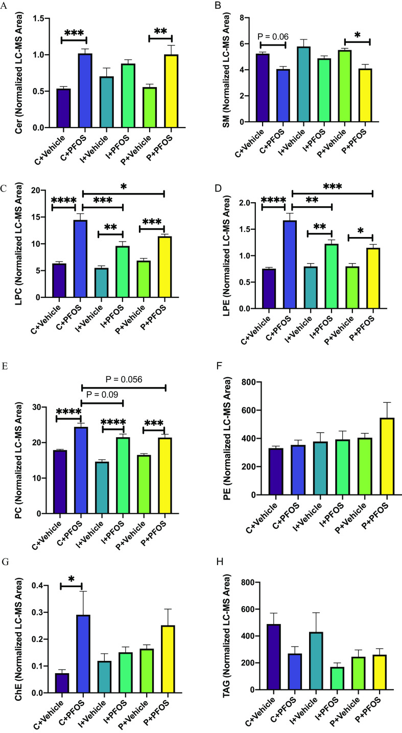 Figures 2A to 2H are eight bar graphs, plotting Cer (Normalized L C-M S Area), ranging from 0.0 to 1.5 in increments of 0.5; S M (Normalized L C-M S Area), ranging from 0 to 8 in increments of 2; L P C (Normalized L C-M S Area), ranging from 0 to 20 in increments of 5; L P E (Normalized L C-M S Area), ranging from 0.0 to 2.0 in increments of 0.5; P C (Normalized L C-M S Area), ranging from 0 to 30 in increments of 10; P E (Normalized L C-M S Area), ranging from 0 to 800 in increments of 200; cholesterol ester (Normalized L C-M S Area), ranging from 0.0 to 0.4 in increments of 0.1; and T A G (Normalized L C-M S Area), ranging from 0 to 800 in increments of 200 (y-axis) across uppercase c plus vehicle, uppercase c plus P F O S, uppercase i plus vehicle, uppercase i plus P F O S, uppercase p plus vehicle, and uppercase p plus P F O S (x-axis).