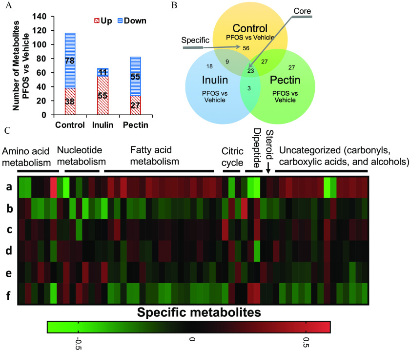 Figure 7A is a stacked bar graph, plotting Number of Metabolites P F O S versus Vehicle, ranging from 0 to 140 in increments of 20 (y-axis) across control, inulin, and pectin (x-axis) for up and down. Figure 7B is a Venn diagram with three circles. The circle on the left is labeled, Inulin: P F O S versus vehicle, the circle on the right is labeled, Pectin: P F O S versus vehicle with 56 specific metabolites, and the circle on the top is labeled control: P F O S versus vehicle. At the center, the intersection area is labeled, Core: 23. Figure 7C is a heatmap, plotting lowercase a to lowercase f (rows) across Amino acid metabolism, Nucleotide metabolism, Fatty acid metabolism, Citric cycle, Dipeptide, Steroid, and Uncategorized (carbonyls, carboxylic acids, and alcohols) (columns). A color scale depicts specific metabolites ranges from negative 0.5 to 0.5 in increments of 0.5.