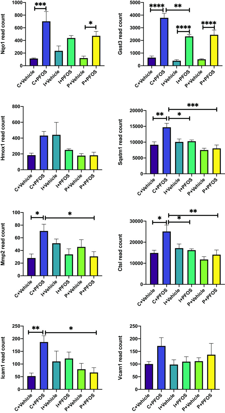 Figure 9 is a set of eight bar graphs, plotting Nqo1 read count, ranging from 0 to 1,000 in increments of 200; Gsst3 read count, ranging from 0 to 5,000 in increments of 1,000; Hmox1 read count, ranging from 0 to 800 in increments of 200; Sqstm1 read count, ranging from 0 to 20,000 in increments of 5,000; Mmp2 read count, ranging from 0 to 100 in increments of 20; Ctsl read count, ranging from 0 to 30,000 in increments of 10,000; Icam1 read count, ranging from 0 to 250 in increments of 50; and Vcam1 read count, ranging from 0 to 250 in increments of 50 (y-axis) across uppercase c plus vehicle, uppercase c plus P F O S, uppercase i plus vehicle, uppercase i plus P F O S, uppercase p plus vehicle, and uppercase p plus P F O S (x-axis).