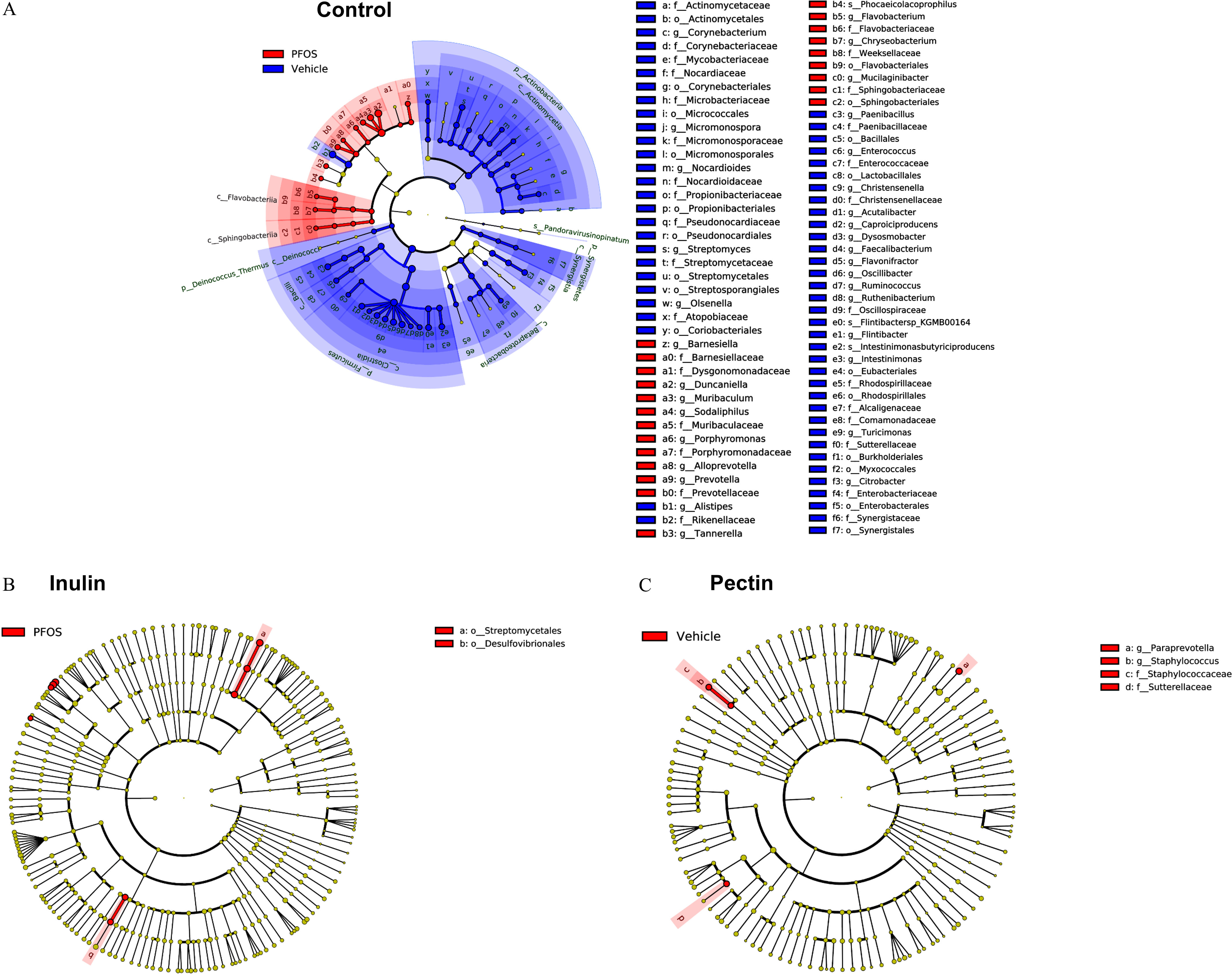 Figure 12A is a cladogram titled Control that presents data for a control diet. The data from the cladogram are as follows: P F O S: lowercase z: lowercase g underscore Barnesiella, lowercase a 0: lowercase f underscore Barnesiellaceae, lowercase a 1: lowercase f underscore Dysgonomonadaceae, lowercase a 2: lowercase g underscore Duncaniella, lowercase a 3: lowercase g underscore Muribaculum, lowercase a 4: lowercase g underscore Sodaliphilus, lowercase a 5: lowercase f underscore Muribaculaceae, lowercase a 6: lowercase g underscore Porphyromonas, lowercase a 7: lowercase f underscore Porphyromonadaceae, lowercase a 8: lowercase g underscore Alloprevotella, lowercase a 9: lowercase g underscore Prevotella, lowercase b 0: lowercase f underscore Prevotellaceae, lowercase b 3: lowercase g underscore Tannerella, lowercase b 4: lowercase s underscore Phocaeicolacoprophilus, lowercase b 5: lowercase g underscore Flavobacterium, lowercase b 6: lowercase f underscore Flavobacteriaceae, lowercase b 7: lowercase g underscore Chryseobacterium, lowercase b 8: lowercase f underscore Weeksellaceae, lowercase b 9: lowercase o underscore Flavobacteriales, lowercase c 0: lowercase g underscore Mucilaginibacter, lowercase c 1: lowercase f underscore Sphingobacteriaceae, and lowercase c 2: lowercase o underscore Sphingobacteriales. Vehicle: lowercase a: lowercase f underscore Actinomycetaceae, lowercase b: lowercase o underscore Actinomycetales, lowercase c: lowercase g underscore Corynebacterium, lowercase d: lowercase f underscore Corynebacteriaceae, lowercase e: lowercase f underscore Mycobacteriaceae, lowercase f: lowercase f underscore Nocardiaceae, lowercase g: lowercase o underscore Corynebacteriales, lowercase h: lowercase f underscore Microbacteriaceae, lowercase i: lowercase o underscore Micrococcales, lowercase j: lowercase g underscore Micromonospora, lowercase k: lowercase f underscore Micromonosporaceae, lowercase l: lowercase o underscore Micromonosporales, lowercase m: lowercase g underscore Nocardioides, lowercase n: lowercase f underscore Nocardioidaceae, lowercase o: lowercase f underscore Propionibacteriaceae, lowercase p: lowercase o underscore Propionibacteriales, lowercase q: lowercase f underscore Pseudonocardiaceae, lowercase r: lowercase o underscore Pseudonocardiales, lowercase s: lowercase g underscore Streptomyces, lowercase t: lowercase f underscore Streptomycetaceae, lowercase u: lowercase o underscore Streptomycetales, lowercase v: lowercase o underscore Streptosporangiales, lowercase w: lowercase g underscore Olsenella, lowercase x: lowercase f underscore Atopobiaceae, lowercase y: lowercase o underscore Coriobacteriales, lowercase b l: lowercase g underscore Alistipes, lowercase b 2: lowercase f underscore Rikenellaceae, lowercase c 3: lowercase g underscore Paenibacillus, lowercase c 4: lowercase f underscore Paenibacillaceae, lowercase c 5: lowercase o underscore Bacillales, lowercase c 6: lowercase g underscore Enterococcus, lowercase c 7: lowercase f underscore Enterococcaceae, lowercase c 8: lowercase o underscore Lactobacillales, lowercase c 9: lowercase g underscore Christensenella, lowercase d 0: lowercase f underscore Christensenellaceae, lowercase d 1: lowercase g underscore Acutalibacter, lowercase d 2: lowercase g underscore Caproiciproducens, lowercase d 3: lowercase g underscore Dysosmobacter, lowercase d 4: lowercase g underscore Faecalibacterium, lowercase d 5: lowercase g underscore Flavonifractor, lowercase d 6: lowercase g underscore Oscillibacter, lowercase d 7: lowercase g underscore Ruminococcus, lowercase d 8: lowercase g underscore Ruthenibacterium, lowercase d 9: lowercase g underscore Oscillospiraceae, lowercase e 0: lowercase s underscore Flintibactersp underscore K G M B 00164, lowercase e 1: lowercase g underscore Flintibacter, lowercase e 2: lowercase s underscore Intestinimonasbutyriciproducens, lowercase e 3: lowercase g underscore Intestinimonas, lowercase e 4: lowercase o underscore Eubacteriales, lowercase e 5: lowercase f underscore Rhodospirillaceae, lowercase e 6: lowercase o underscore Rhodospirillales, lowercase e 7: lowercase f underscore Alcaligenaceae, lowercase e 8: lowercase f underscore Comamonadaceae, lowercase e 9: lowercase g underscore Turicimonas, lowercase f 0: lowercase f underscore Sutterellaceae, lowercase f 1: lowercase o underscore Burkholderiales, lowercase f 2: lowercase o underscore Myxococcales, lowercase f 3: lowercase g underscore Citrobacter, lowercase f 4: lowercase f underscore Enterobacteriaceae, lowercase f 5: lowercase o underscore Enterobacterales, lowercase f 6: lowercase f underscore Synergistaceae, and lowercase f 7: lowercase o underscore Synergistales. Figure 12B is a cladogram titled Inulin that presents data for a inulin diet. The data from the cladogram are as follows: P F O S: lowercase a: lowercase o underscore Streptomycetales and lowercase b: lowercase o underscore Desulfovibrionales. Figure 12C is a cladogram titled Pectin that presents data for a pectin diet. The data from the cladogram are as follows: Vehicle: lowercase a: lowercase g underscore Paraprevotella, lowercase b: lowercase g underscore Staphylococcus, lowercase c: lowercase f underscore taphylococcaceae, and lowercase d: lowercase f underscore Sutterellaceae.