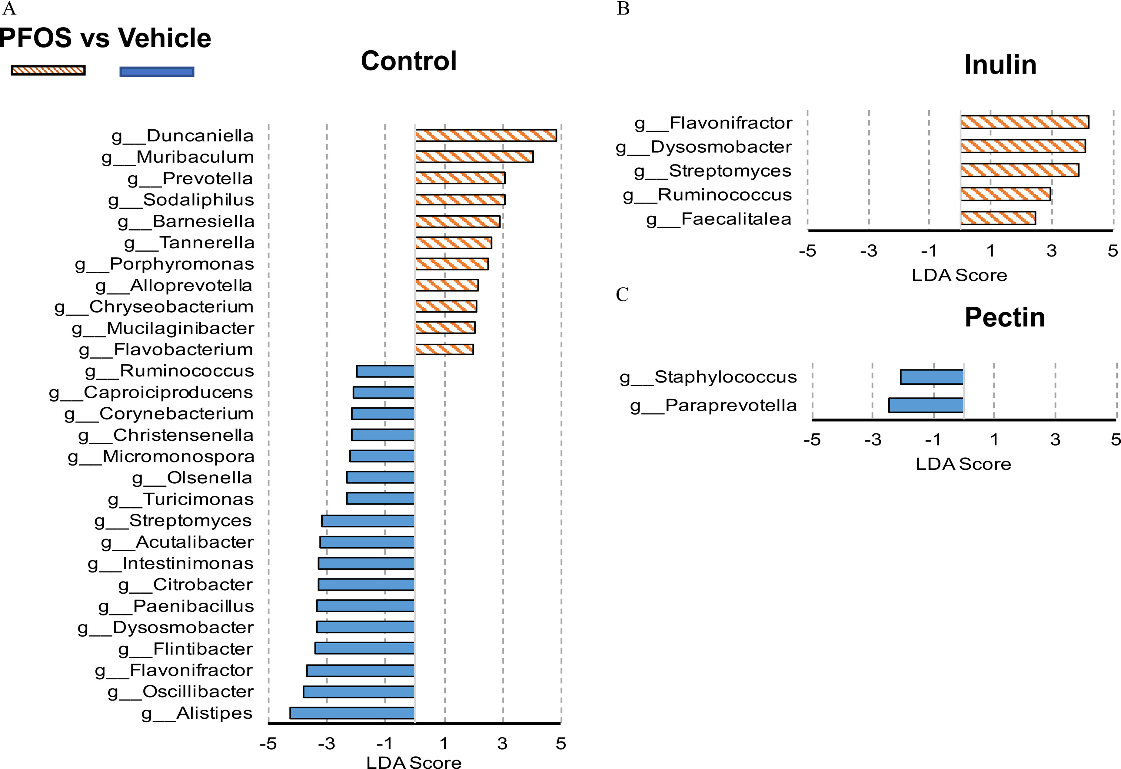 Figures 13A to 13C are horizontal bar graphs titled control, inulin, pectin, plotting g underscore Alistipes, g underscore Oscillibacter, g underscore Flavonifractor, g underscore Flintibacter, g underscore Dysosmobacter, g underscore Paenibacillus, g underscore Citrobacter, g underscore Intestinimonas, g underscore Acutalibacter, g underscore Streptomyces, g underscore Turicimonas, g underscore Olsenella, g underscore Micromonospora, g underscore Christensenella, g underscore Corynebacterium, g underscore Caproiciproducens, g underscore Ruminococcus, g underscore Flavobacterium, g underscore Mucilaginibacter, g underscore Chryseobacterium, g underscore Alloprevotella, g underscore Porphyromonas, g underscore Tannerella, g underscore Barnesiella, g underscore Sodaliphilus, g underscore Prevotella, g underscore Muribaculum, and g underscore Duncaniella; g underscore Faecalitalea, g underscore Ruminococcus, g underscore Streptomyces, g underscore Dysosmobacter, and g underscore Flavonifractor; and g underscore Paraprevotella and g underscore Staphylococcus (y-axis) across Linear discriminant analysis score, ranging from negative 5 to 5 in increments of 2 (x-axis) for P F O S and vehicle, respectively.