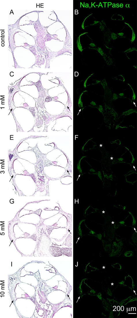 FIG. 3.