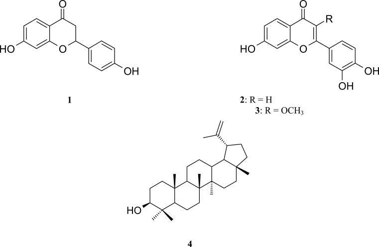 graphic file with name AJT0901-0056Fig1.jpg