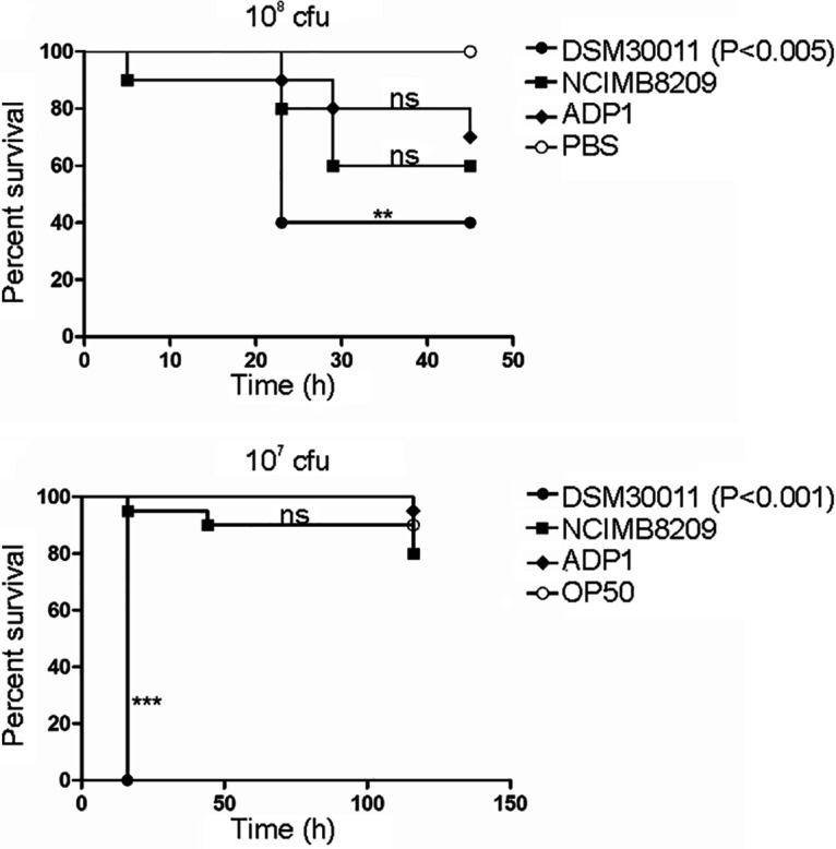 FIG 3