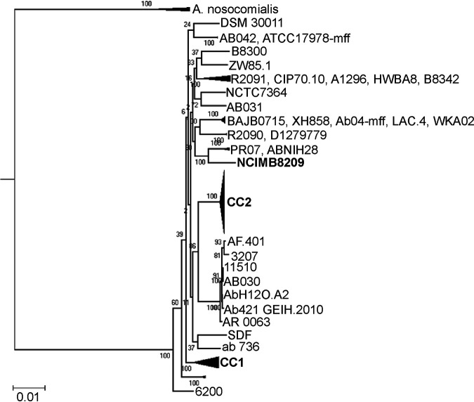 FIG 2