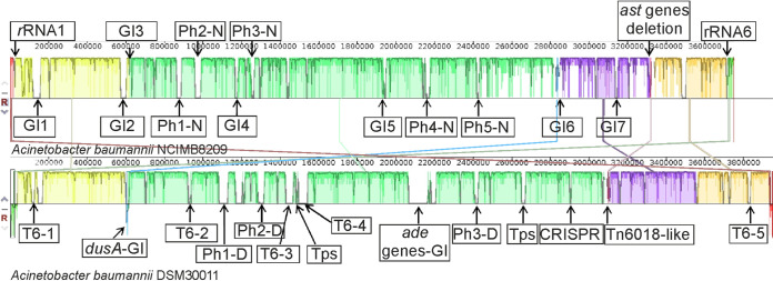 FIG 1