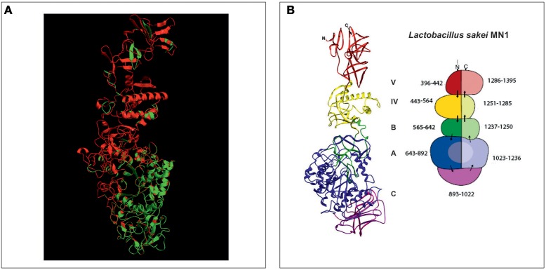 Figure 5