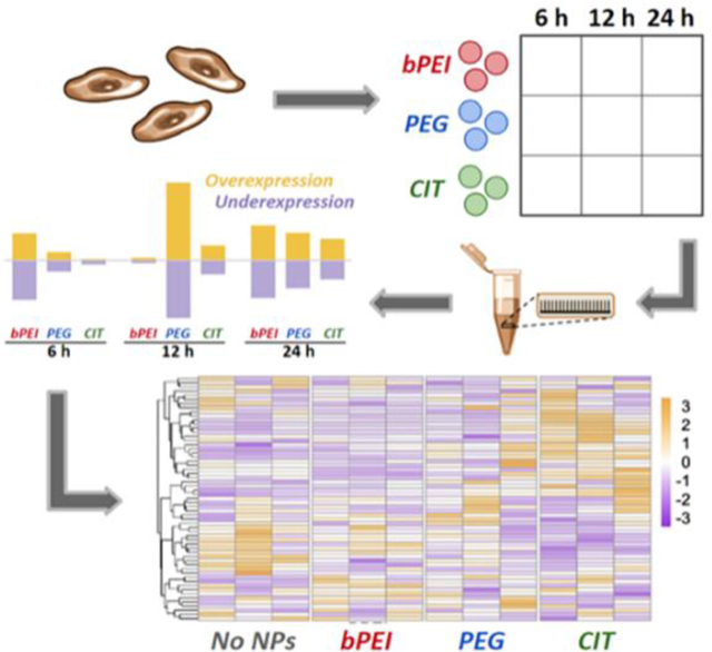 graphic file with name nihms-1617452-f0001.jpg