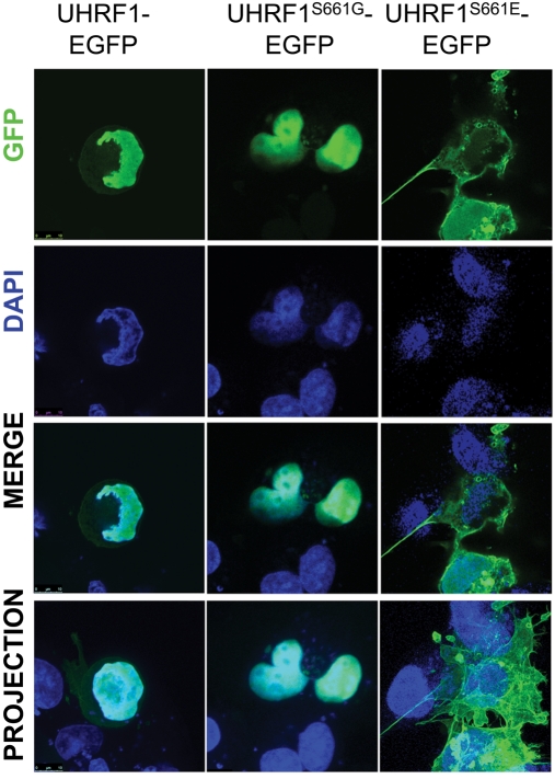 FIGURE 6: