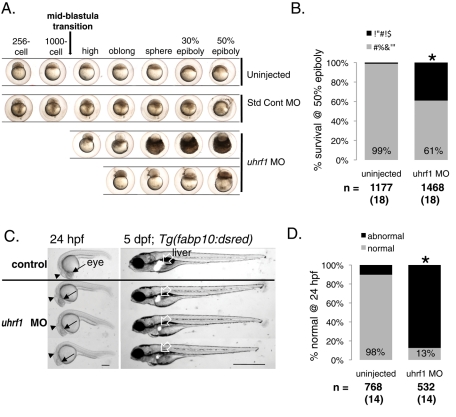 FIGURE 4: