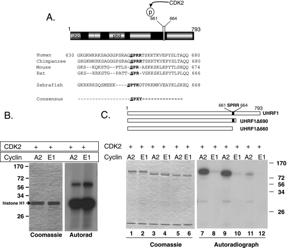 FIGURE 1: