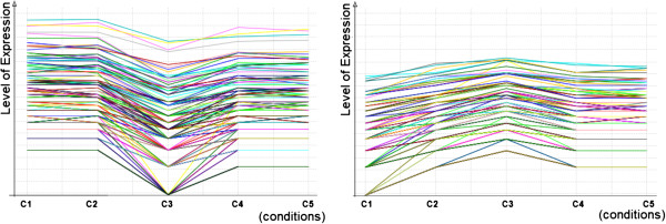 Figure 20