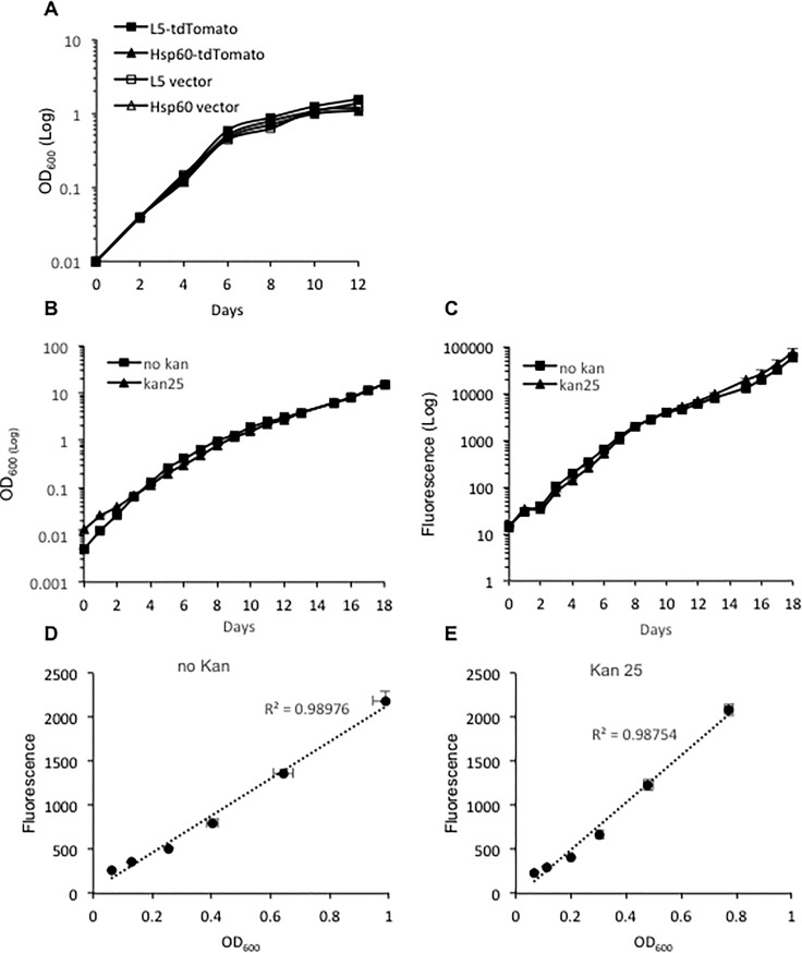 Fig 4