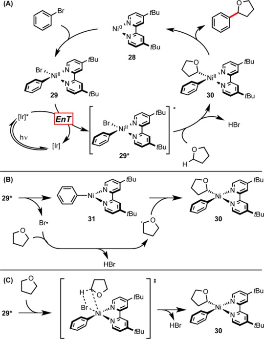 Scheme 3