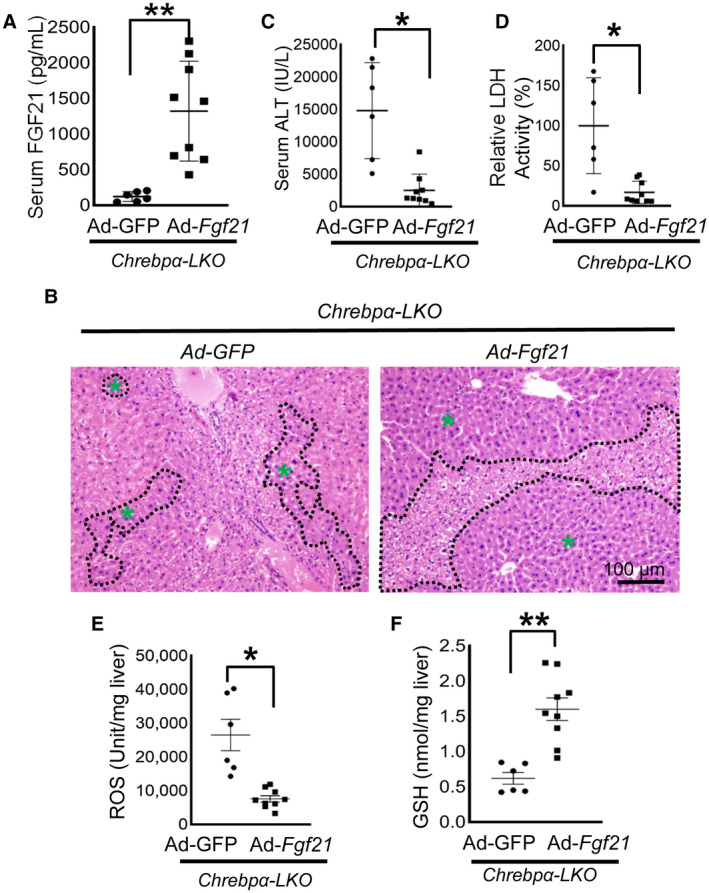 FIG. 7