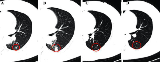 Figure 5