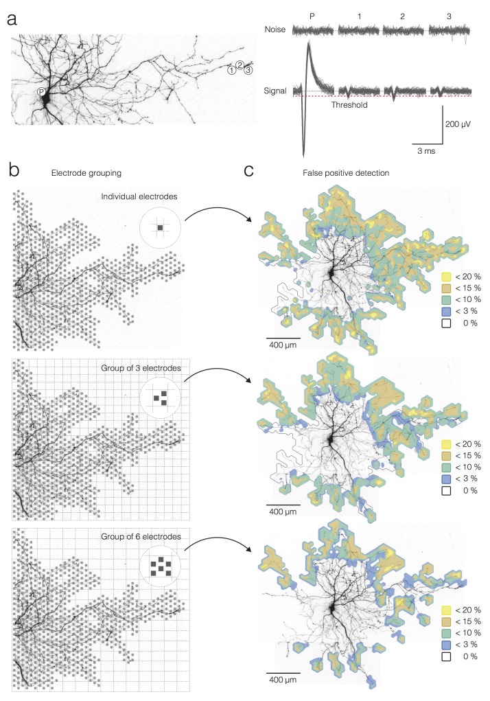 Figure 2—figure supplement 1.