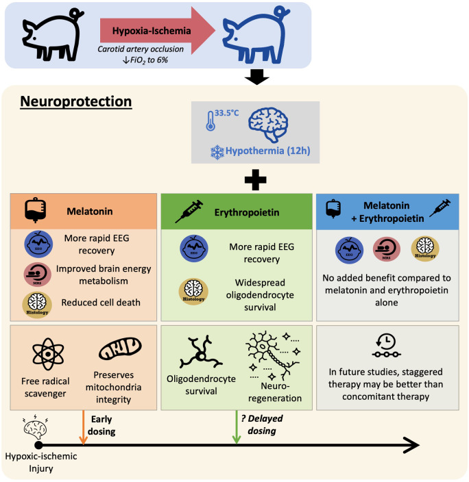 Graphical Abstract