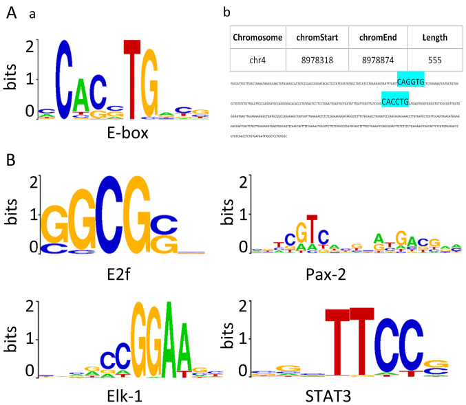 Figure 2.