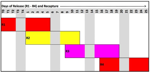 Fig 5