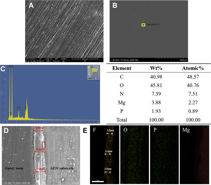 Fig. 2