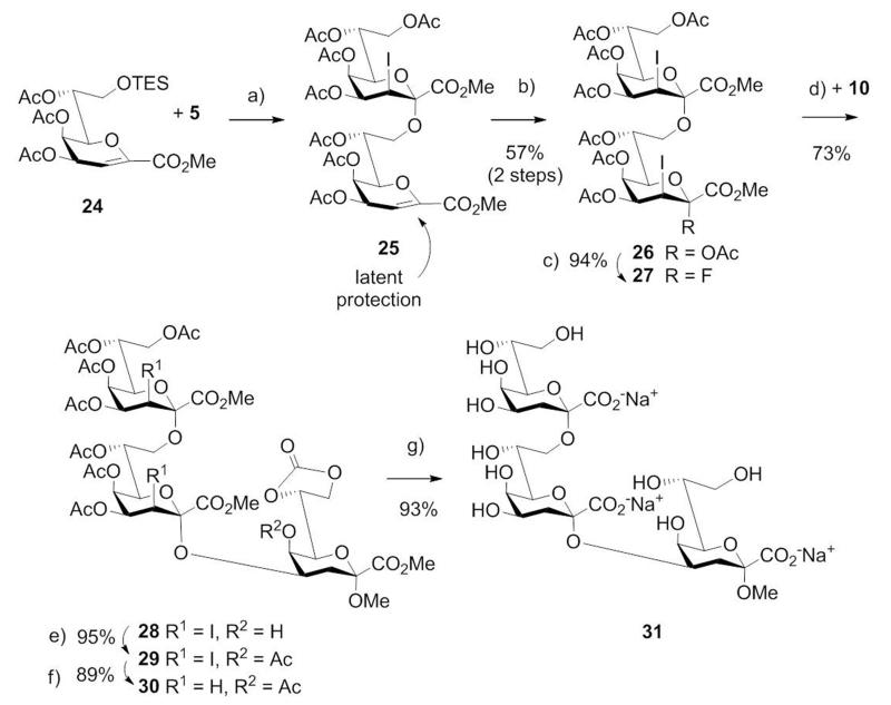 Scheme 4