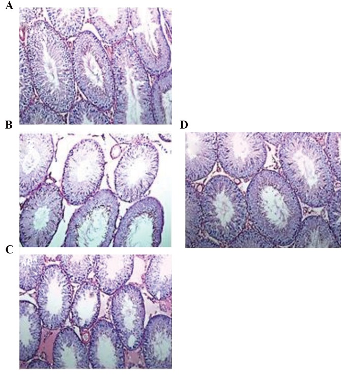 Fig.4