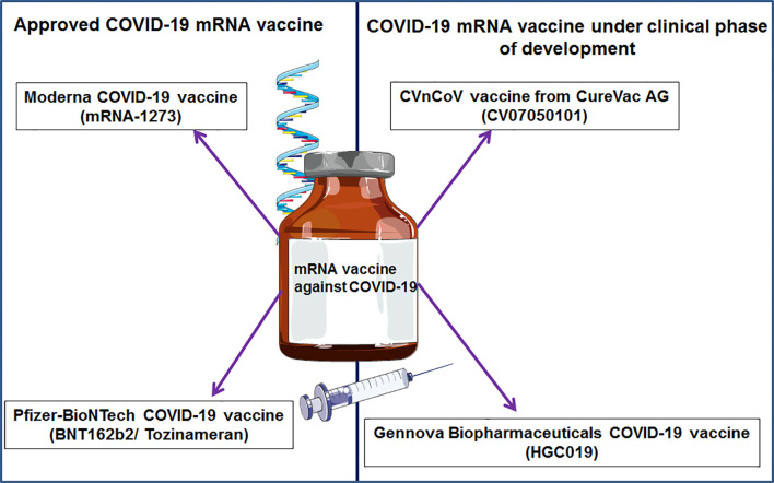 Figure 6