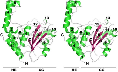 Fig. 2.