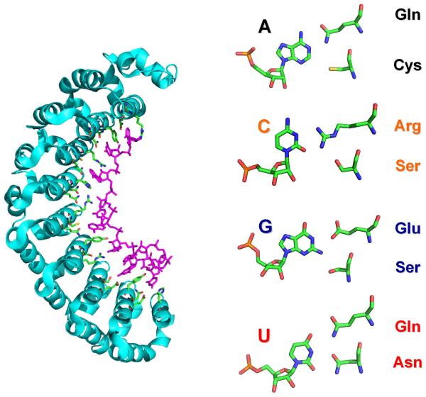 FIGURE1