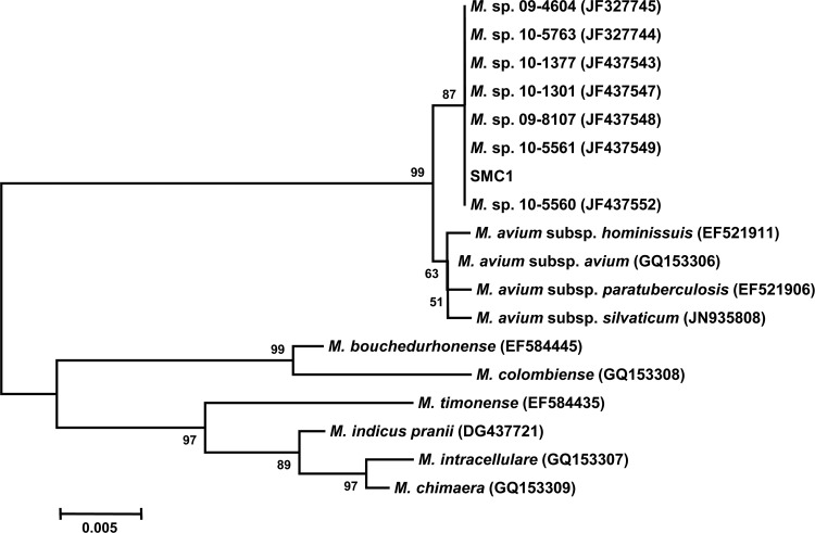 Fig 2