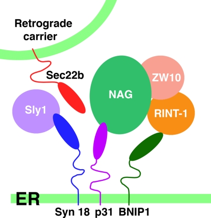 Figure 9.