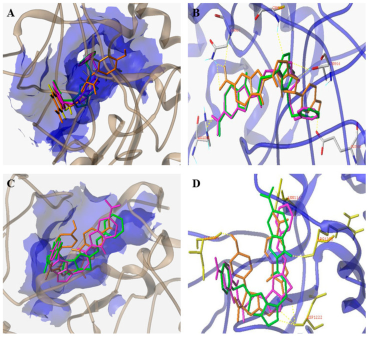 Figure 9