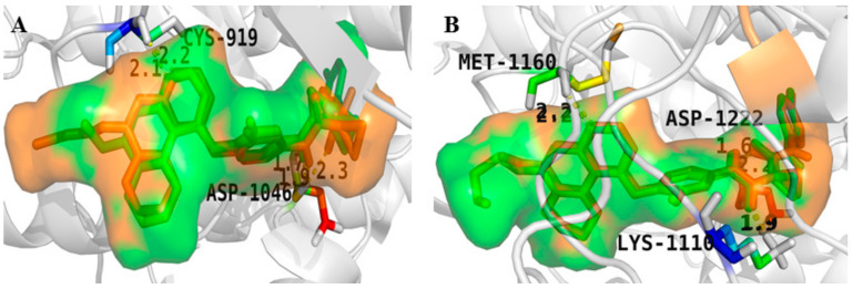 Figure 12