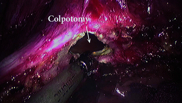 Figure 7.